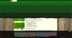 Desktop Screenshot of nasze4x4.pl